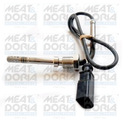 Sensor, exhaust gas temperature